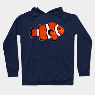 Clownfish Hoodie